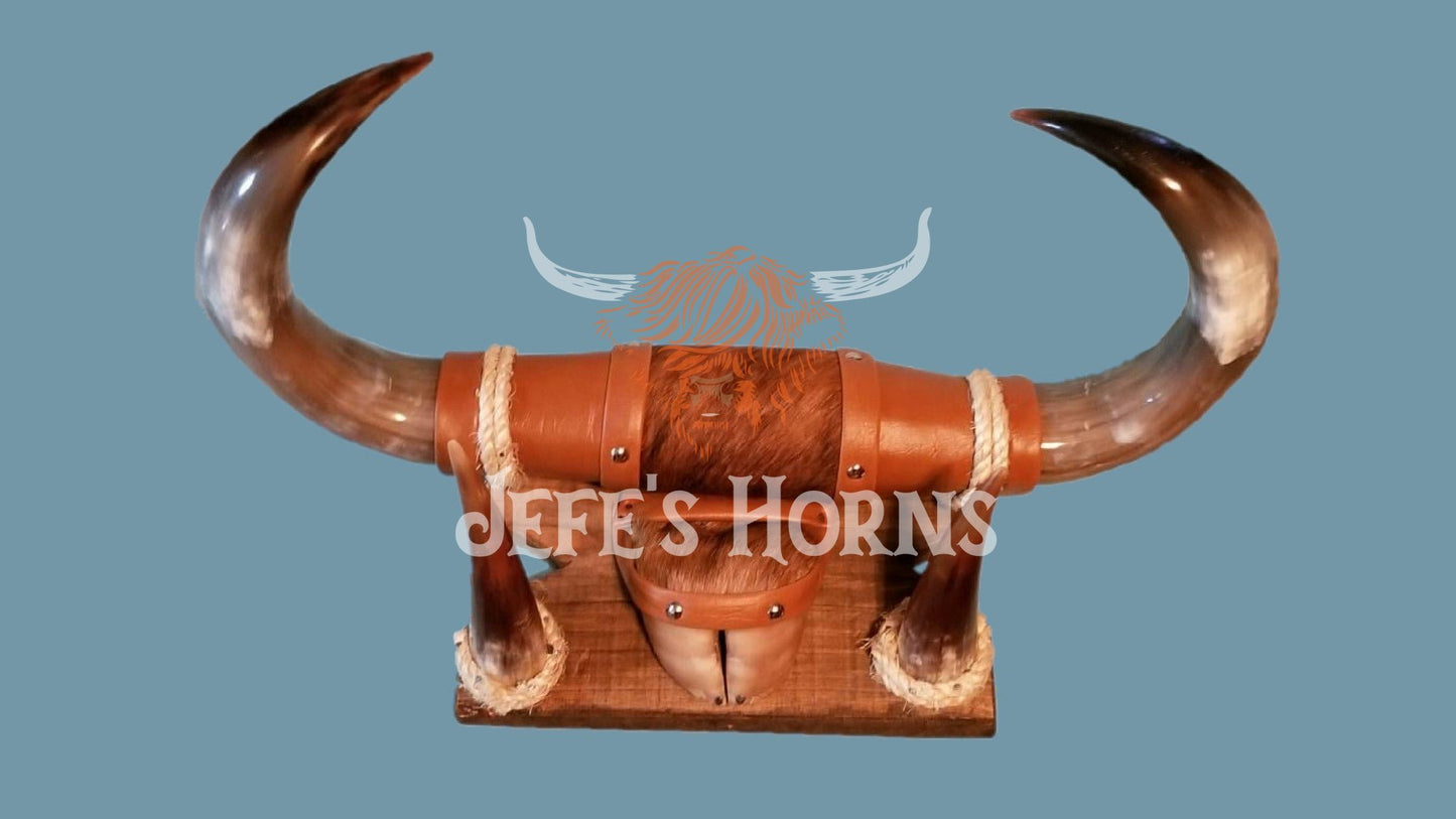 Jefe's Large w/Hoof “Doble c/Pesuña” Horns - Polished Steer Bull Longhorn Mounted Taxidermy - South West Tex-Mex Art - Cowboy Country Rustic Ranch Decor