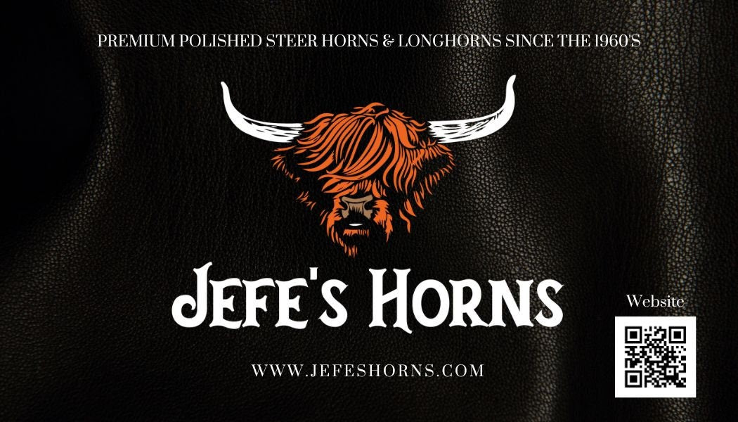 Jefe's Medium “Sencilla” Horns - Polished Steer Bull Longhorn Taxidermy Mount South Native Art Cowboy Country Cattle Ranch Farm Truck Decor