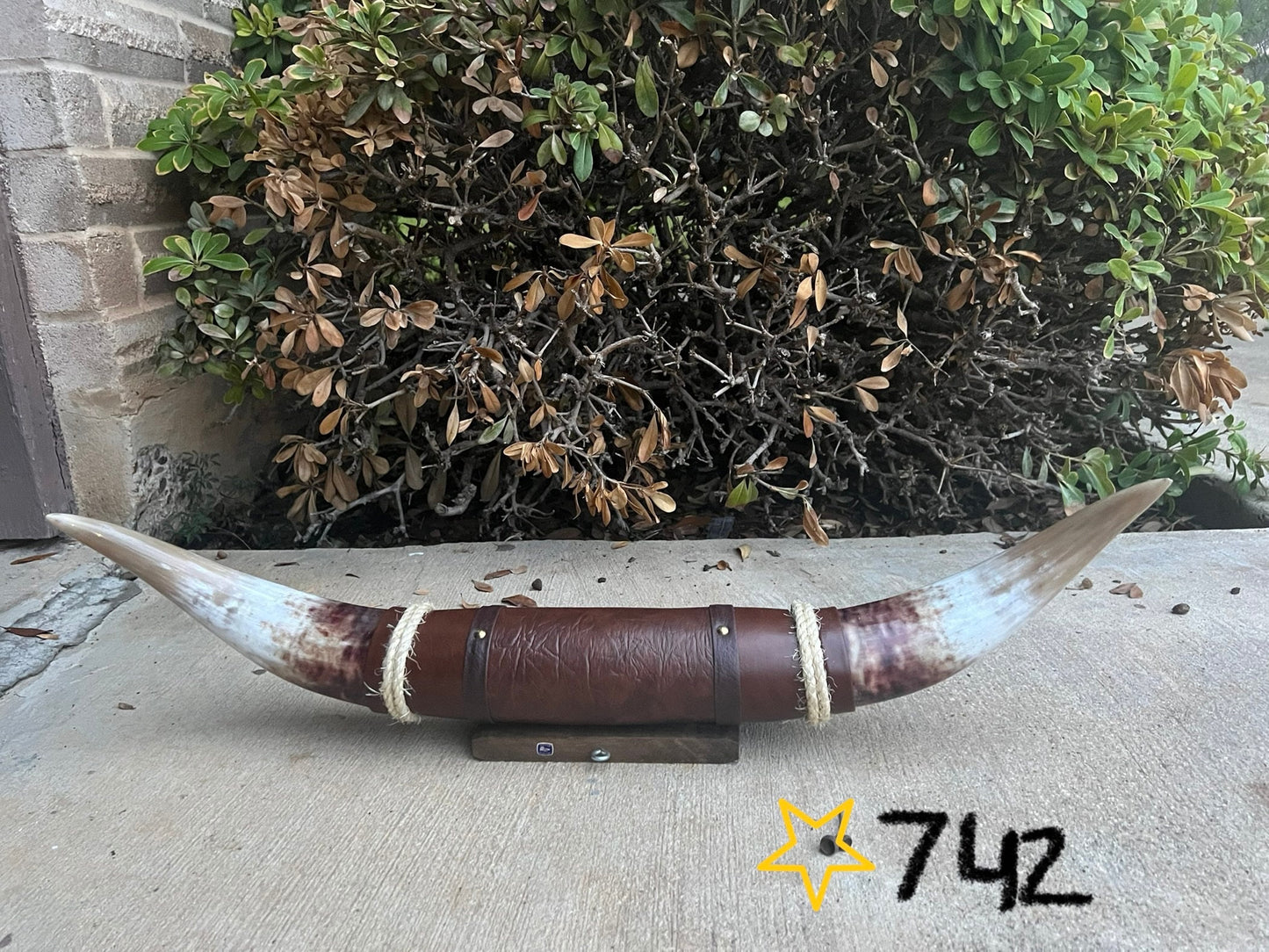 Jefe's SPECIAL #742: XL "Doble Grande" - 29" - Mocha w/ Speckled Red & Grey Tip Horns - Polished Mount Longhorn Steer Bull Cowboy Art Decor