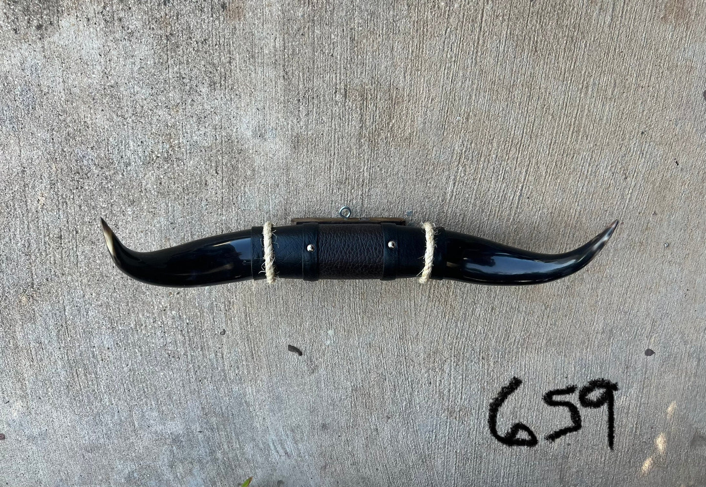 Jefe's SPECIAL #659: Medium "Sencillo" - 17" - Triple Black Horns - Polished Mount Longhorn Steer Bull Cowboy Country Farm Truck Art Decor