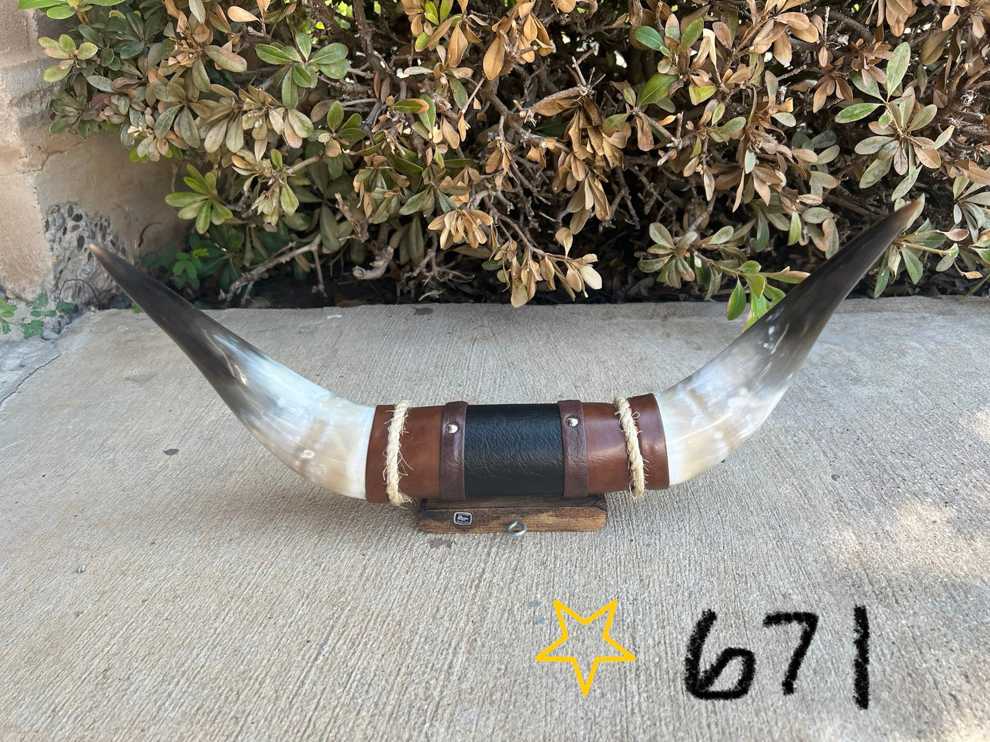 Jefe's SPECIAL #671: Medium "Sencillo" - 16" - Mahogany & Black w/ Black Tip Horns - Polished Mount Longhorn Steer Bull Cowboy Art Decor